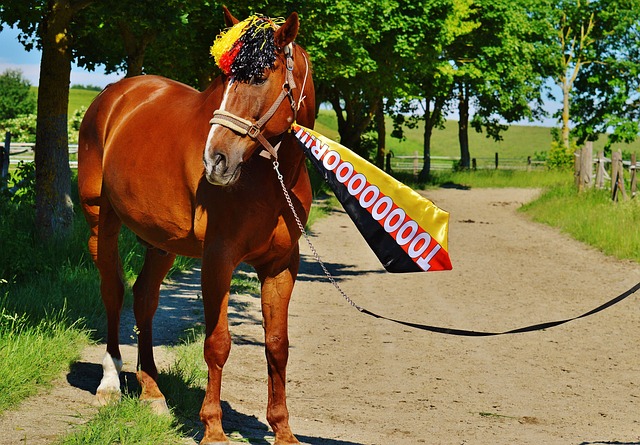 国足的战术 国足的战术