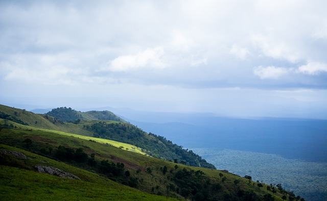 生的竞技水 生的竞技水