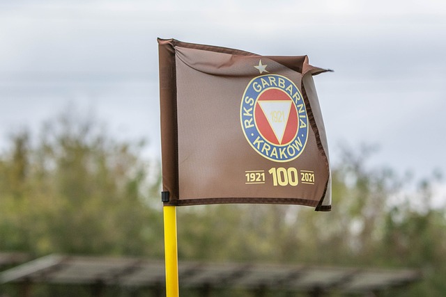 莱比锡红牛 莱比锡红牛