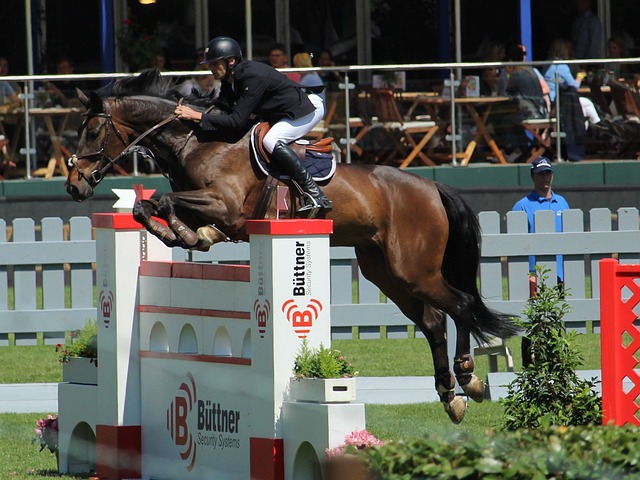 为这支新锐 为这支新锐