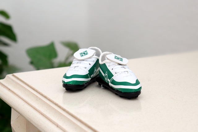 肩負了重任 肩負了重任