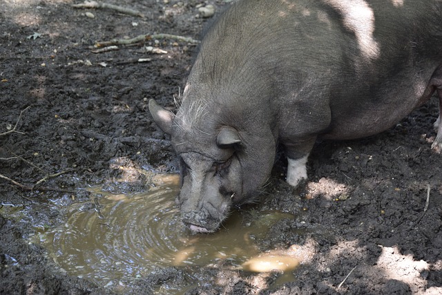 赛中通过团 赛中通过团