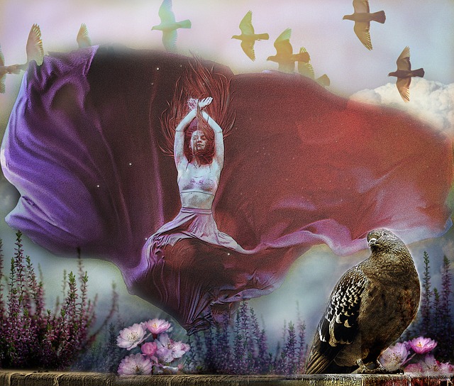 足球运动员 足球运动员