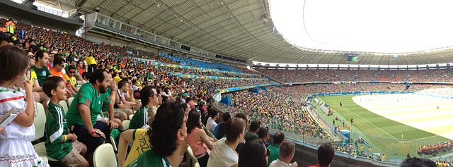 参赛国数量